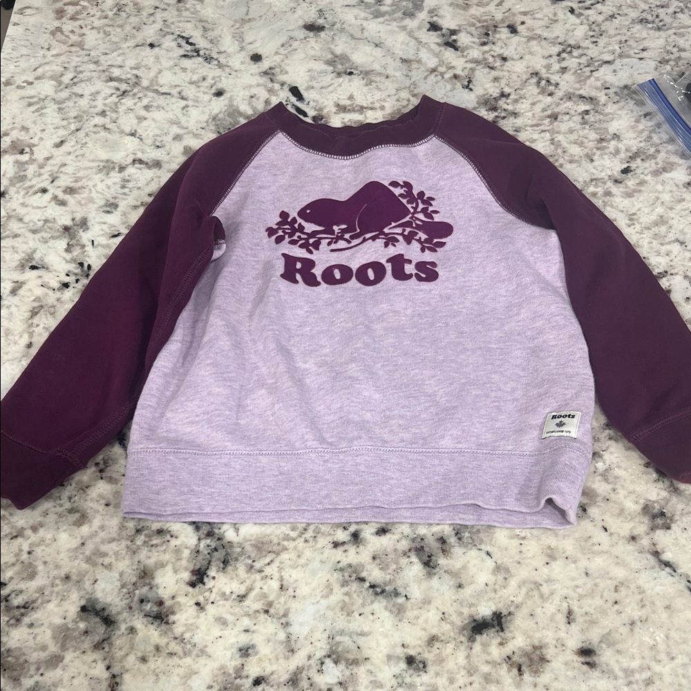 Roots Kids Two-Tone Purple Sweatshirt